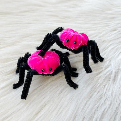 Spiders