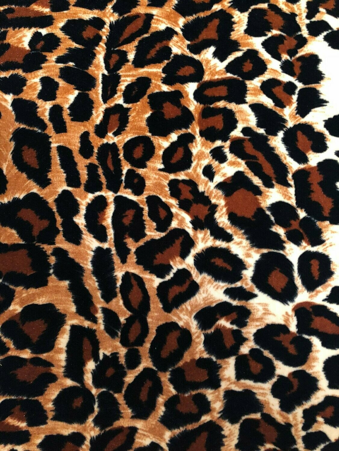 Cheetah - Velvet