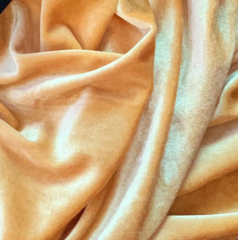 Golden Apricot - Velvet