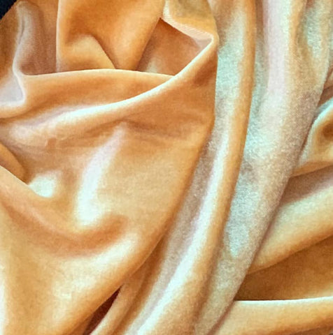 Golden Apricot - Velvet