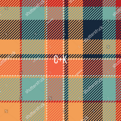 Turquoise and Orange Plaid - Bullet