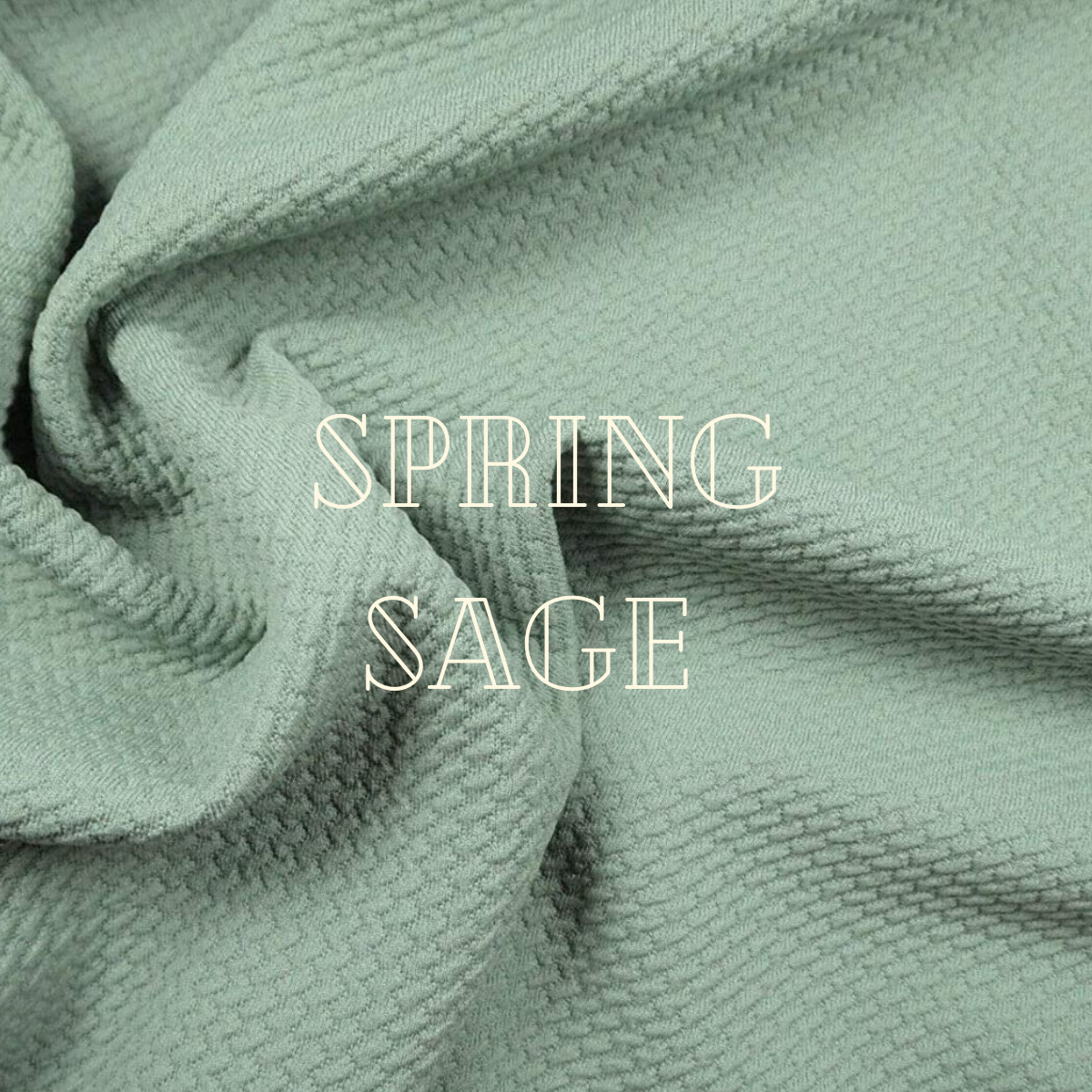 Sage - Bullet