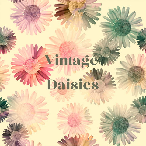 Vintage Daisies - Bullet